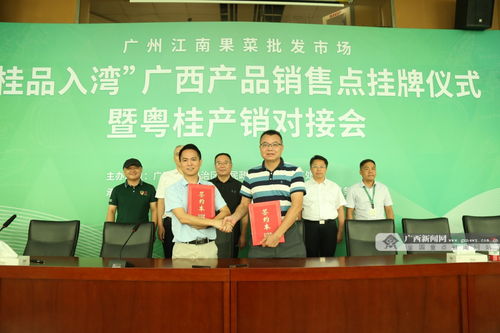 深化合作譜新篇 粵桂消費協作再升級，“桂品入灣”助推區域發展